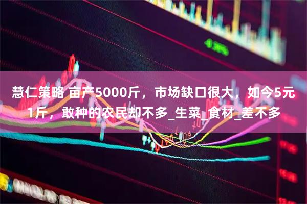 慧仁策略 亩产5000斤，市场缺口很大，如今5元1斤，敢种的农民却不多_生菜_食材_差不多