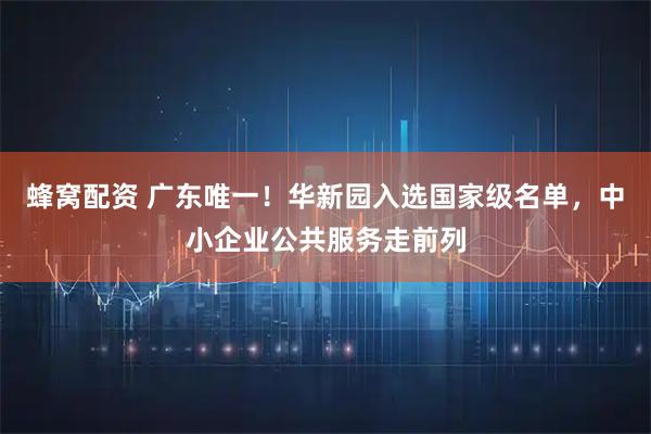 蜂窝配资 广东唯一！华新园入选国家级名单，中小企业公共服务走前列